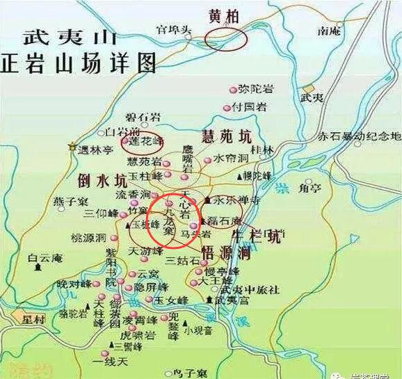 母樹大紅袍給誰喝了，為什么母樹大紅袍叫三棵六株？