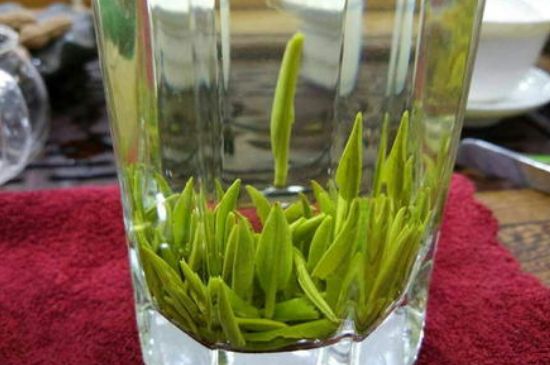 雀舌有一股青草味，雀舌為什么有青草味？