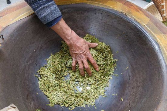 雀舌有一股青草味，雀舌為什么有青草味？