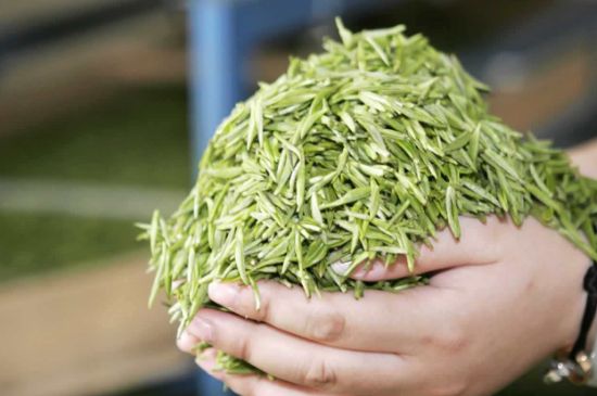 高山云霧茶屬于什么茶，高山云霧茶哪里的最好