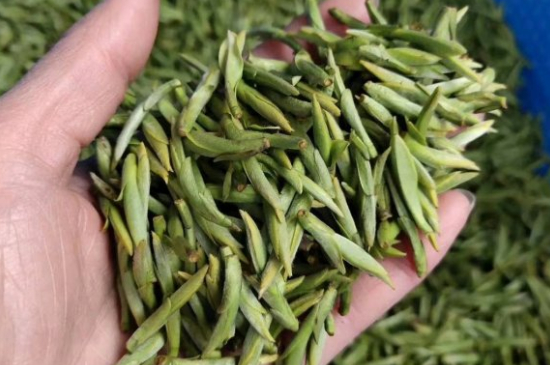 龍井茶好壞的鑒別圖片，如何區(qū)別龍井茶的好壞？