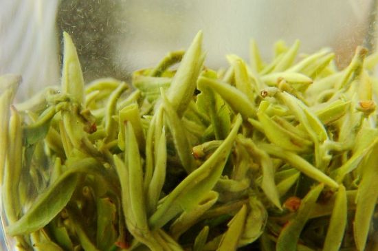 碧螺春為什么泡水渾濁，碧螺春茶葉泡水感覺很臟是混濁的