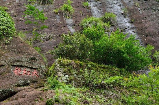 武夷巖茶大紅袍，喝起來是什么味道？