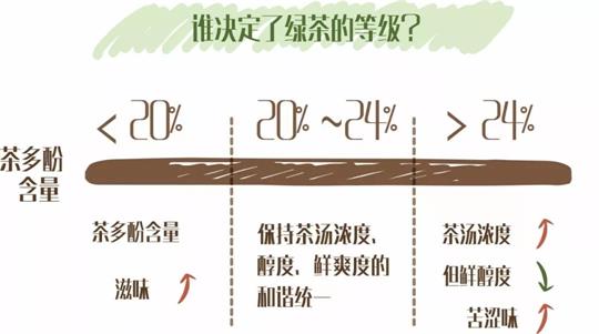 什么綠茶口味重口感濃郁，口味比較重的綠茶都有那些？