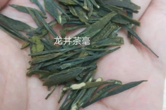 西湖龍井茶毫和發(fā)霉區(qū)別圖片，長霉的龍井茶葉會(huì)是什么樣？