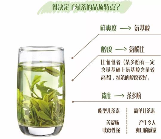 什么綠茶口味重口感濃郁，口味比較重的綠茶都有那些？