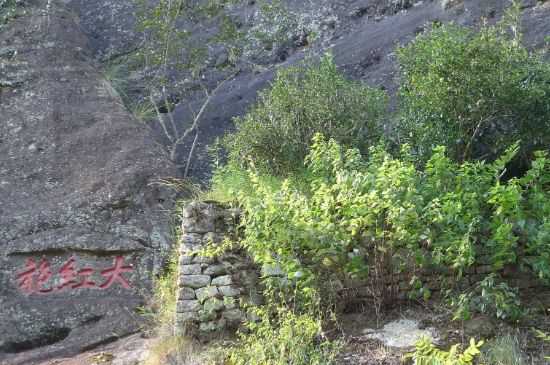 母樹大紅袍給誰喝了，為什么母樹大紅袍叫三棵六株？