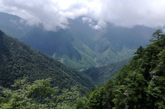 300塊錢(qián)的金駿眉能喝嗎，兩三百多金駿眉和一千多區(qū)別