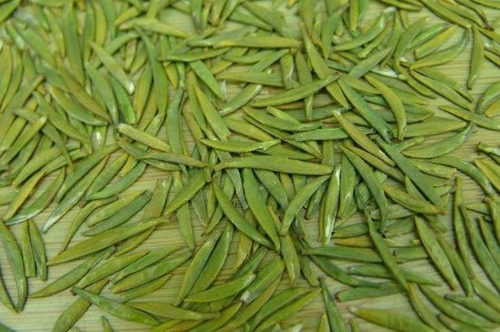 竹葉青和毛尖的區(qū)別，毛尖和竹葉青怎么分辨？