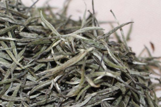 什么人不能喝白茶，白茶不宜什么人喝？