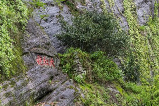 大紅袍為什么沒保質(zhì)期，武夷巖茶大紅袍能放幾年？