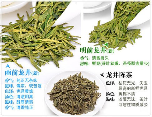 西湖龍井新茶和陳茶的區(qū)別，怎么區(qū)分龍井新茶和舊茶？
