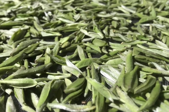 白毫銀針年份久的有什么香，陳年白毫銀針的香氣