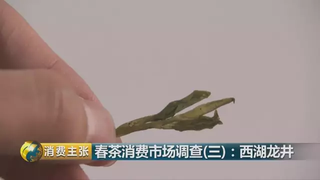 龍井群體種和43號的區(qū)別圖片，龍井43和群體種哪個(gè)好喝？