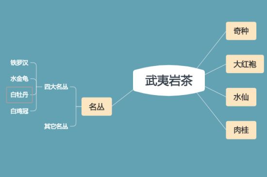 武夷巖茶品種大全，巖茶有幾種？