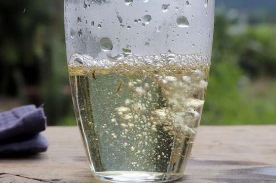 三年白茶賽砒霜，這是真的嗎？