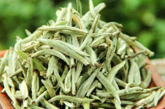 白毫銀針年份越久越好嗎，銀針白毫是否越陳越好