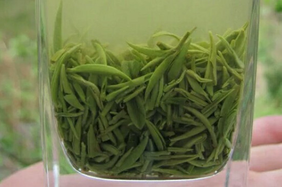 什么綠茶茶葉唇齒留香，哪個品種綠茶香氣好？