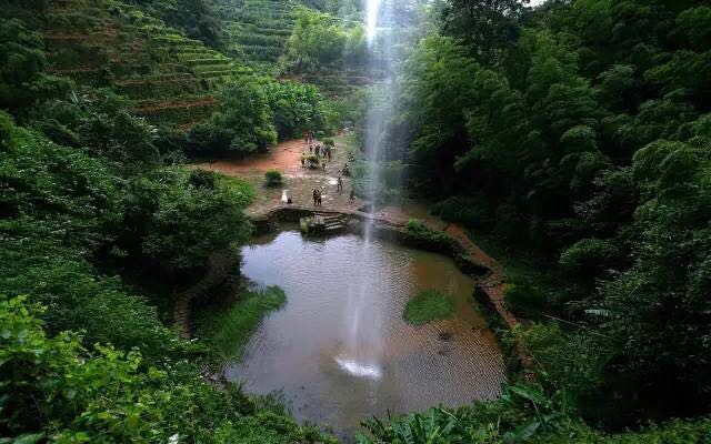 武夷山為什么盛產(chǎn)茶葉，武夷山茶為什么好喝？