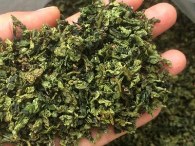 鐵觀音毛茶茶?？梢耘菟葐?，鐵觀音帶梗是不是好茶？