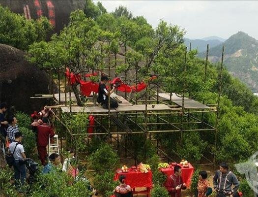 宋種一號價值為什么高，鳳凰單樅宋種1號價格與產(chǎn)量多少？