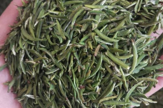金壇雀舌算不算好茶，金壇雀舌屬于什么檔次茶葉？