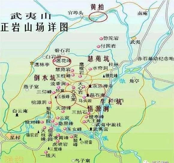 肉桂茶和大紅袍哪個貴，武夷山肉桂與大紅袍的價格比較