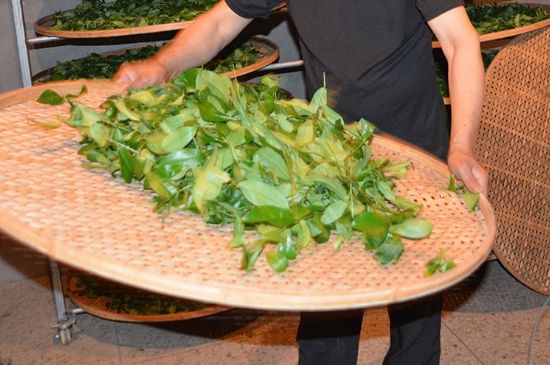 鐵觀音加香精騙局，鐵觀音的香味是添加香精了嗎？