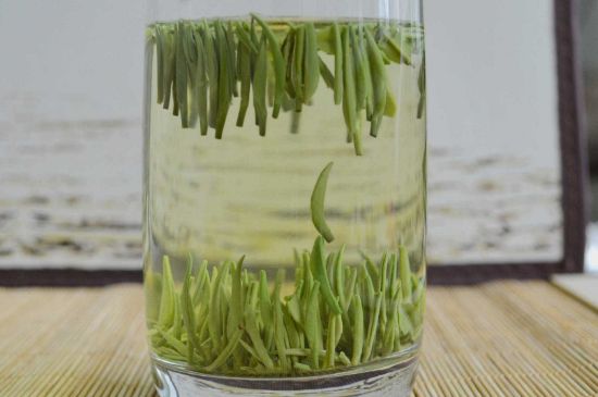 雀舌和竹葉青的區(qū)別，雀舌對比竹葉青圖片