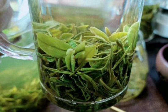 什么綠茶味道濃香，那個(gè)綠茶比較濃香？