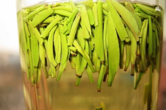 雀舌為何喝著是苦的，雀舌味道怎么那么苦澀？