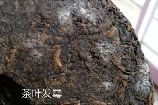 西湖龍井茶毫和發(fā)霉區(qū)別圖片，長霉的龍井茶葉會(huì)是什么樣？